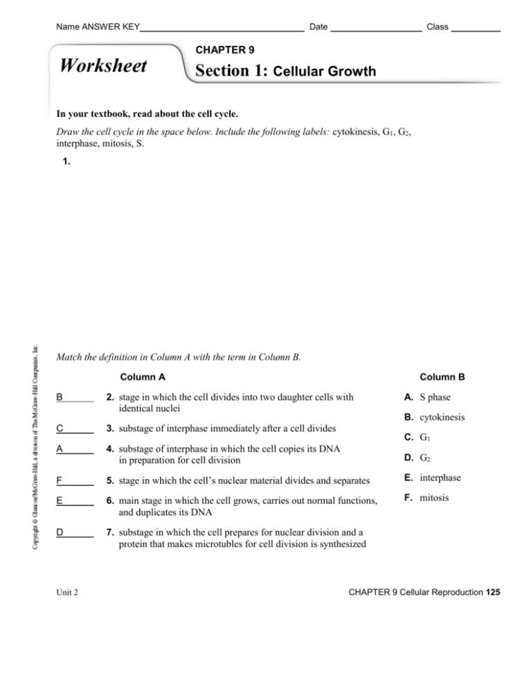 Cell Reproduction Worksheet Answers —