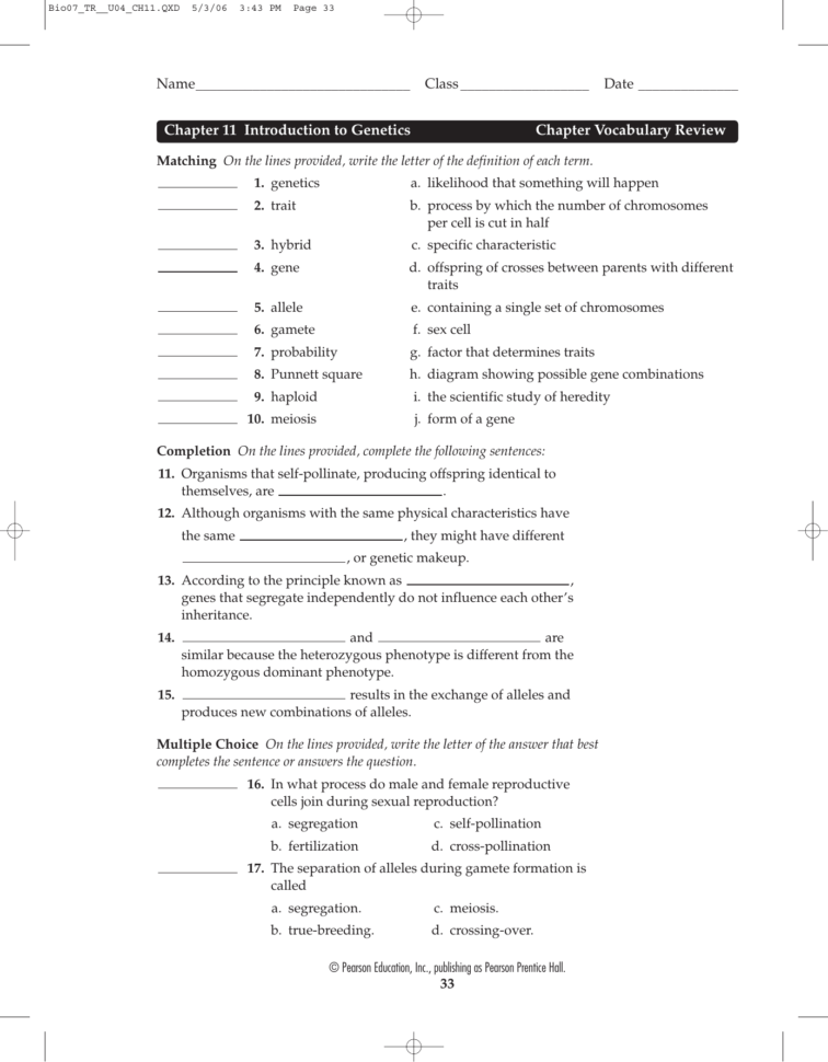 Chapter 11 Introduction To Chapter Vocabulary Review — db