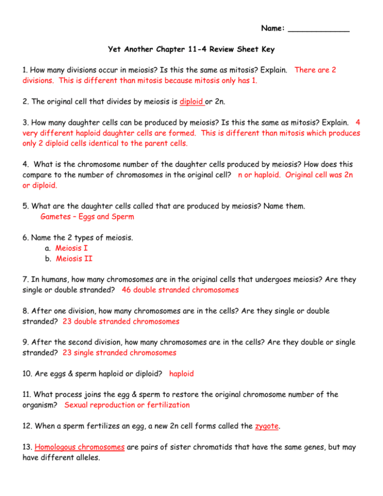 Section 114 Meiosis Answer Sheet Biology Section 11 4 Meiosis