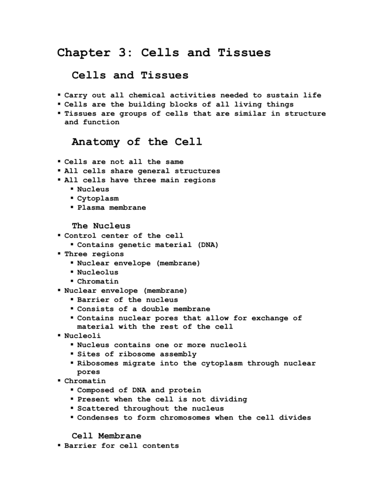 Chapter 3 Cells And Tissues —