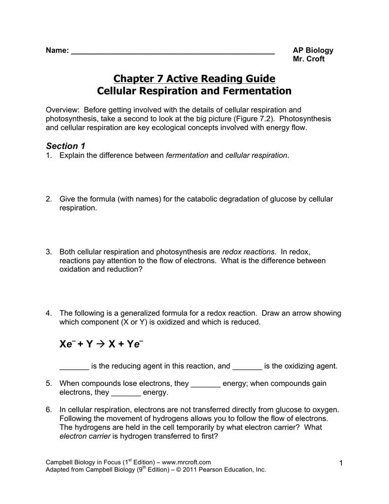 Cellular Respiration Overview Worksheet Chapter 7 Answer Key —