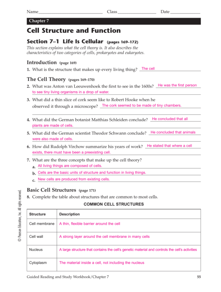 Chapter 7 Section 4 Cellular Transport Worksheet Answers —