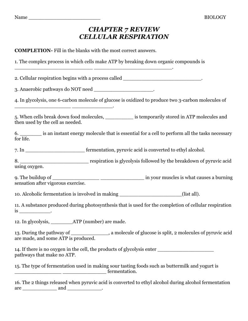 Cellular Respiration Overview Worksheet Chapter 7 Answer