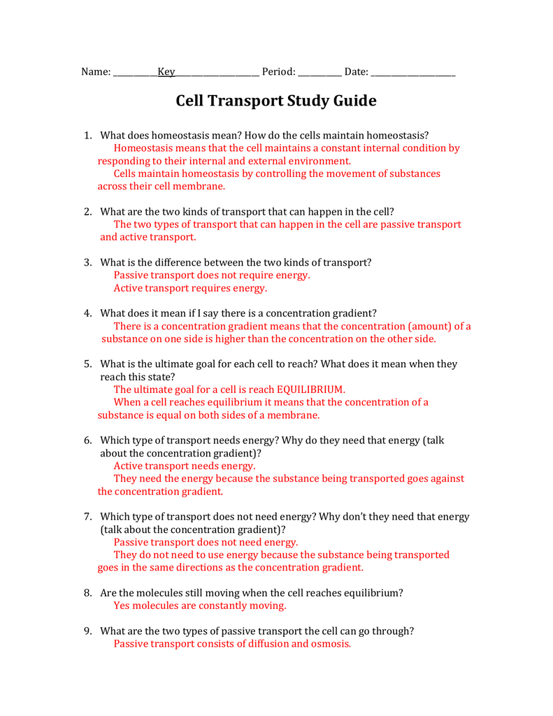 Chapter 7 Section 4 Cellular Transport Answer Key Netvs —