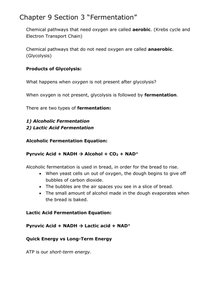 Chapter 9 Energy In A Cell Worksheet Answer Key —