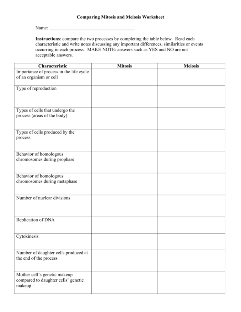 Answer key 1 exercise 8 (p. Mitosis And Meiosis Worksheet Answer Key — db-excel.com