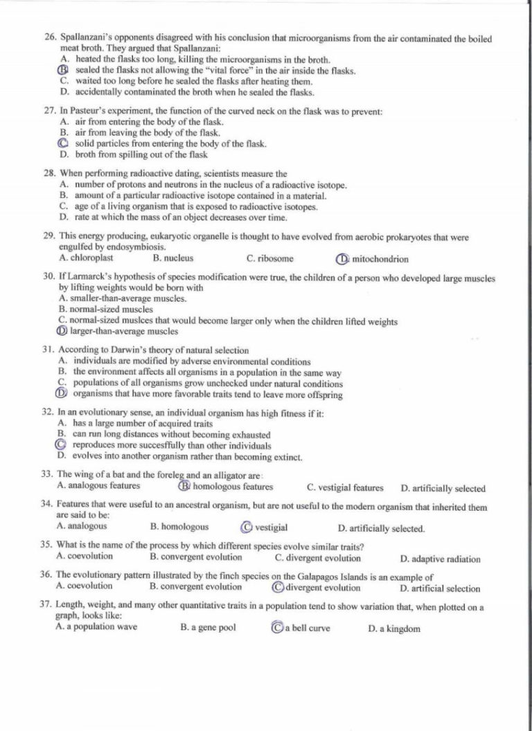 Dna Structure And Replication Worksheet Quizlet Pdf Pogil —