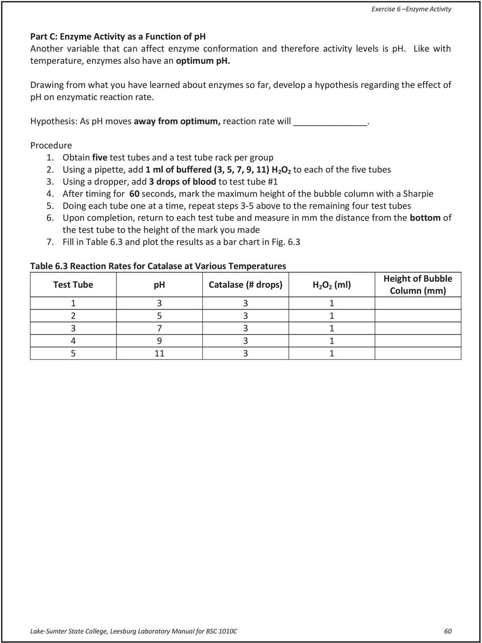 Exercise 6 Enzyme Activity Pdf —