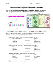 20 Macromolecules Worksheet Answer Key Worksheets Decoomo