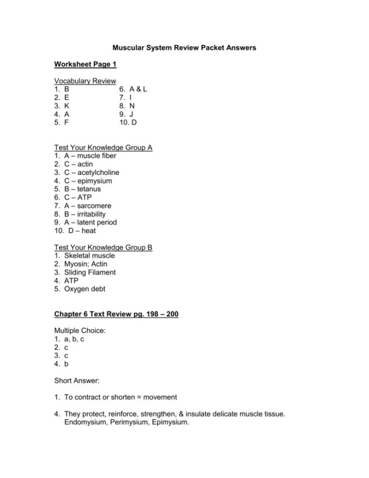 Muscular System Worksheet Answers —