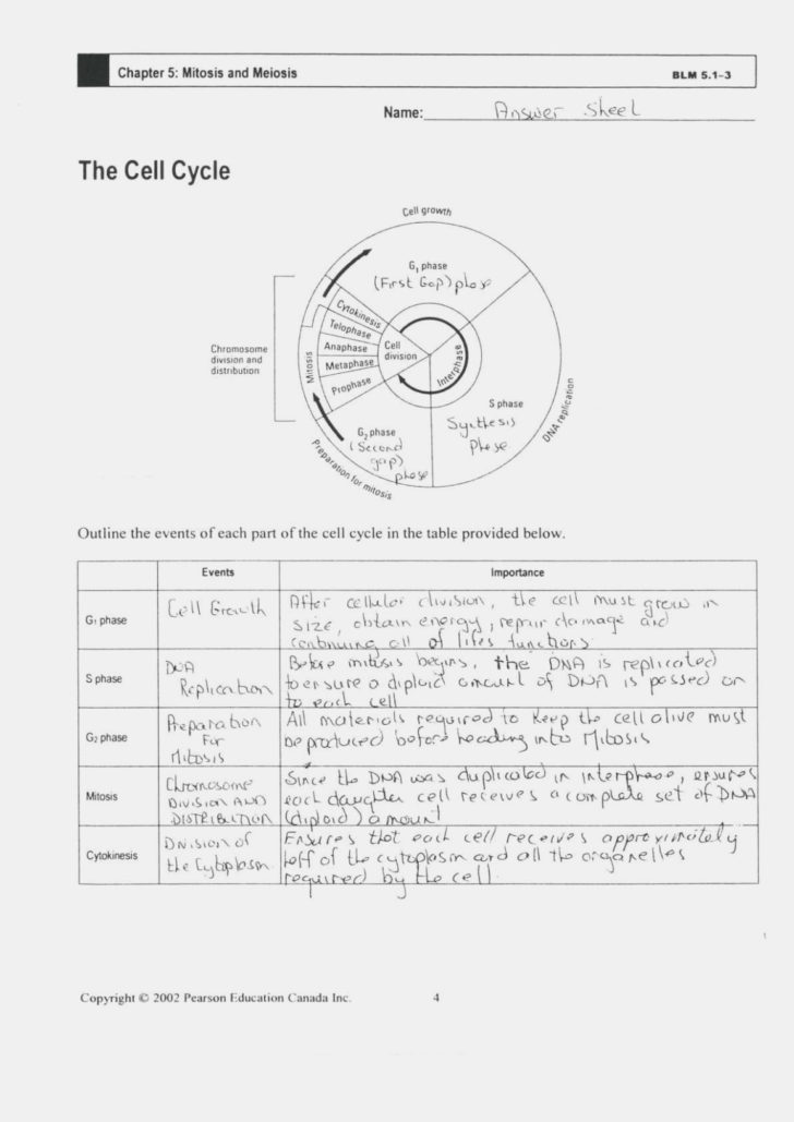 Nutrition Label Worksheet Answer Key Pdf —