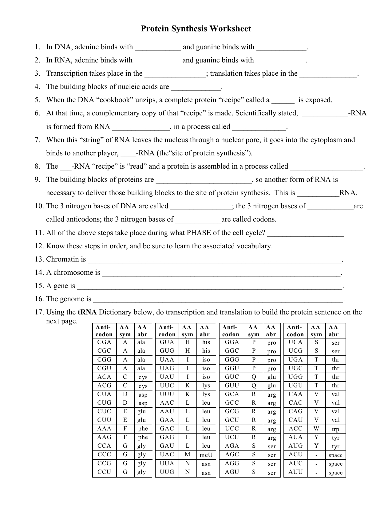Say It With Dna Protein Synthesis Worksheet