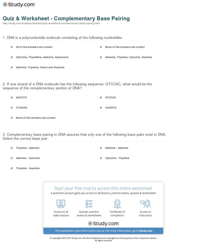 Dna Base Pairing Worksheet Answers