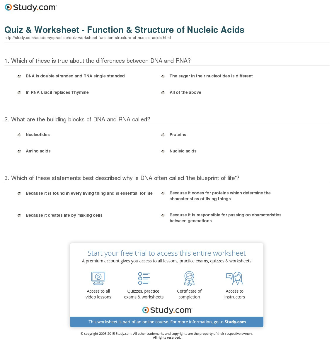 Quiz Worksheet Function Structure Of Nucleic Acids —