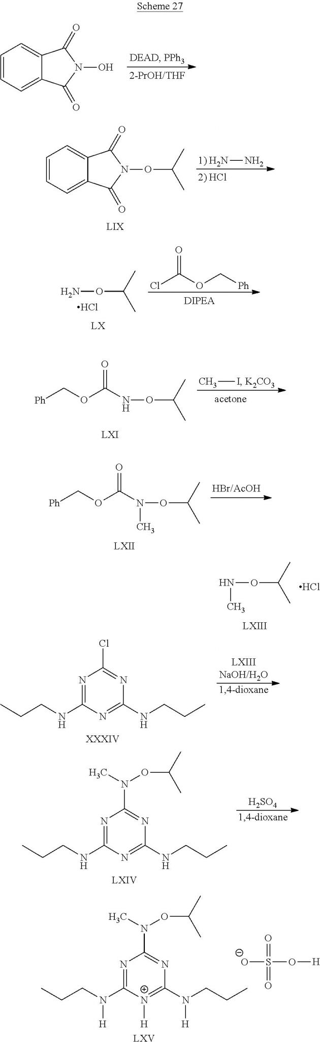 Sheep Brain Dissection Analysis Worksheet Answers —