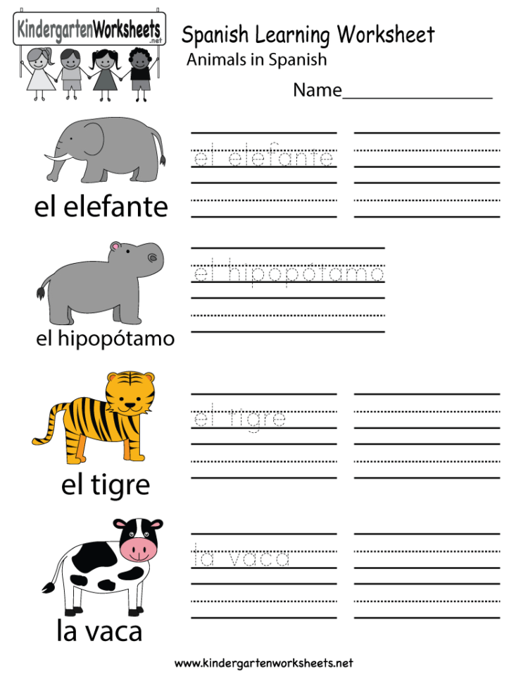 Best Spanish Workbooks for Beginners: 16+ Free PDFs
