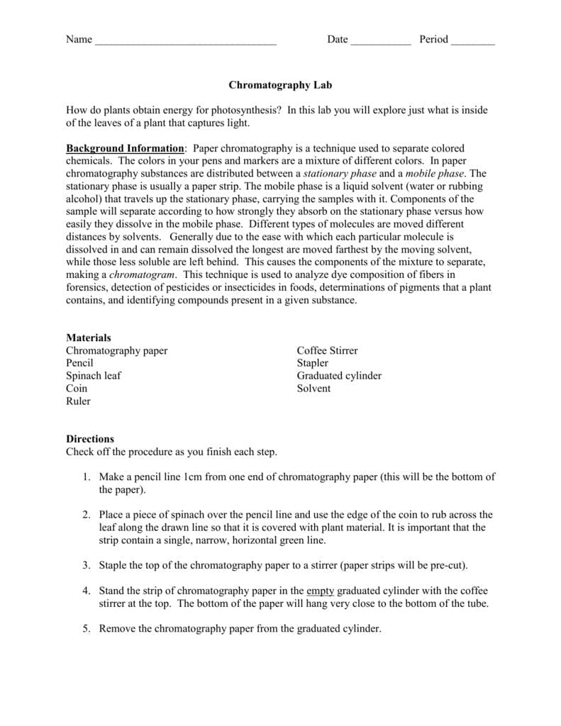 Leaf Chromatography Lab Worksheet —