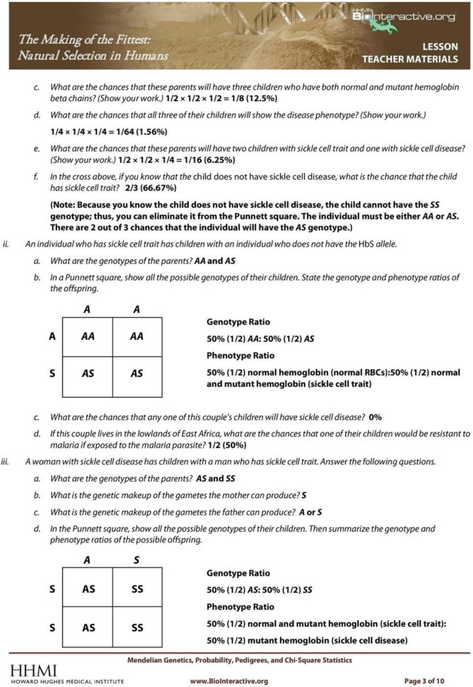 The Making Of The Fittest Natural Selection In Humans Pdf —