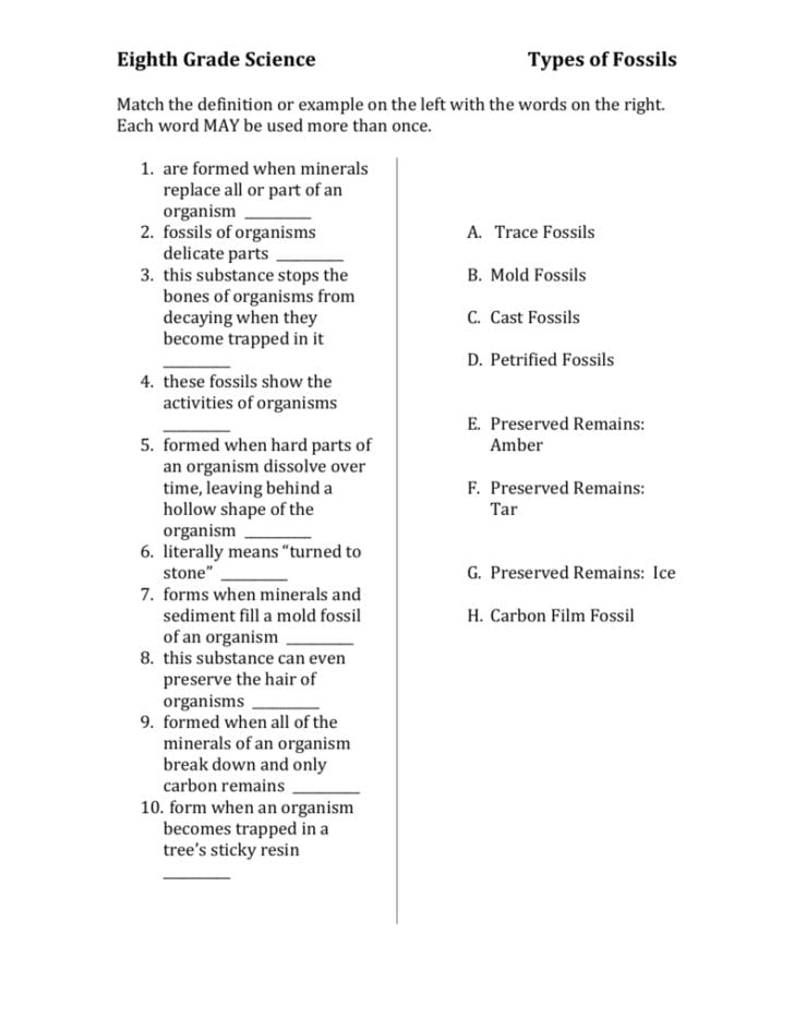 Fossil Evidence Of Evolution Worksheet