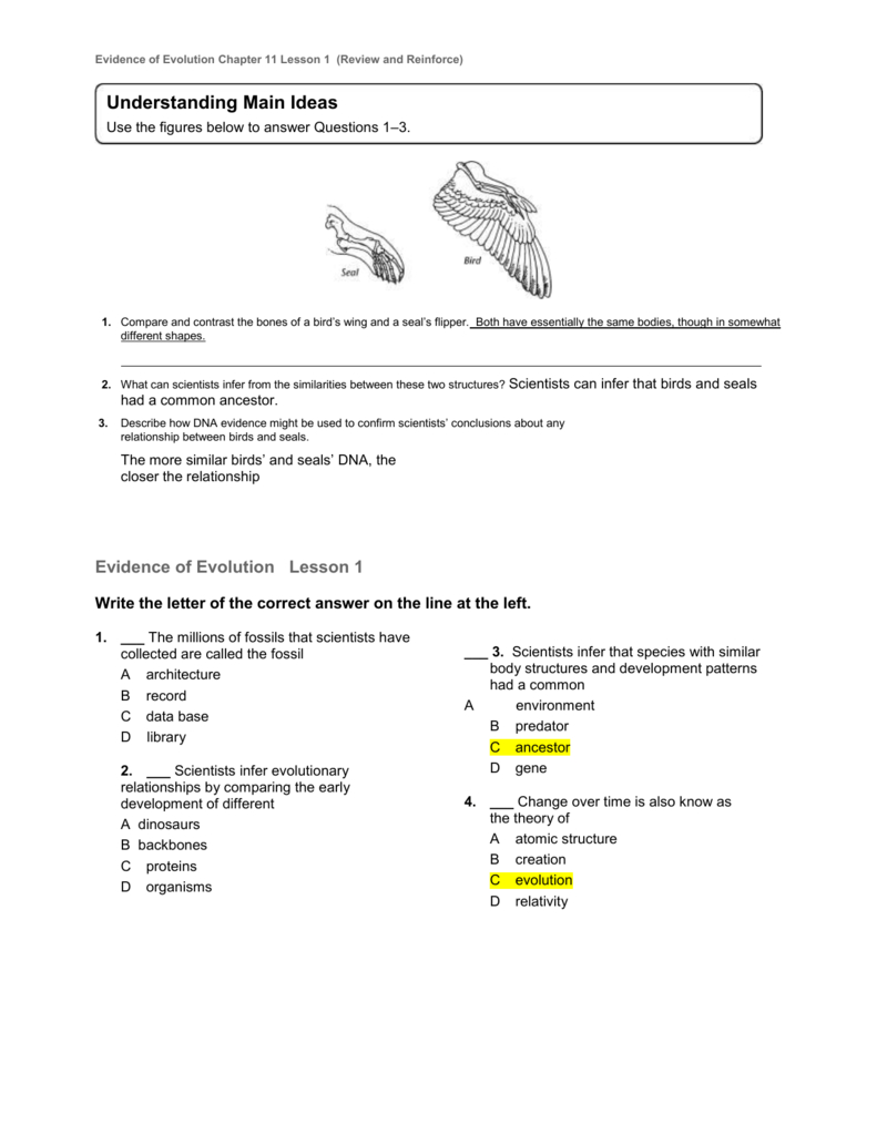 AE 15-1 Review and Reinforcement Answers 15-16.pdf