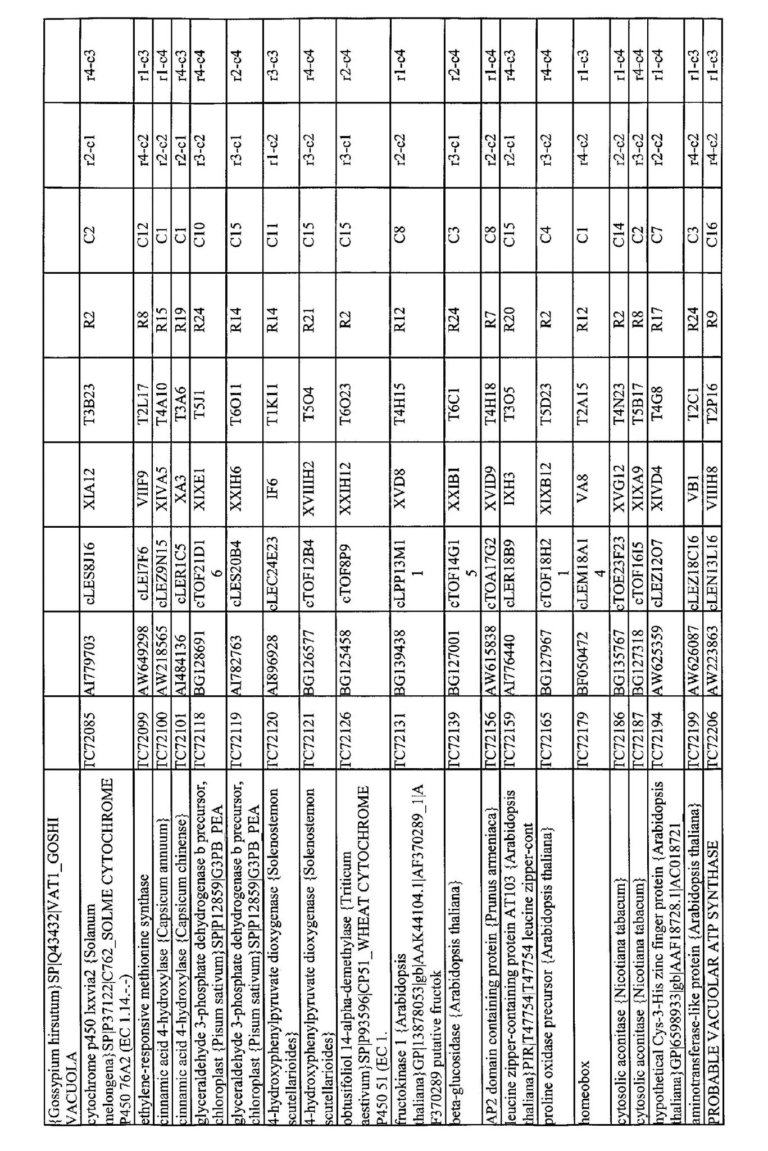 Worksheet Domains And Ranges Of Relations And Functions Answer Key —