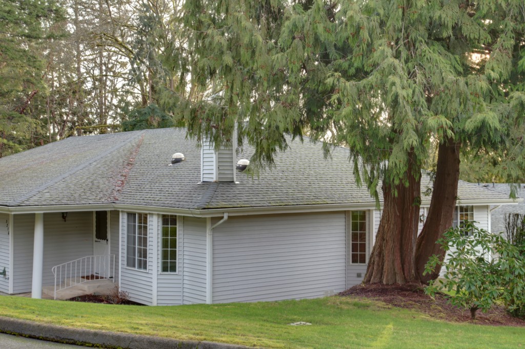 Sales activity for Quiet Forest Park Condo in Gig Harbor