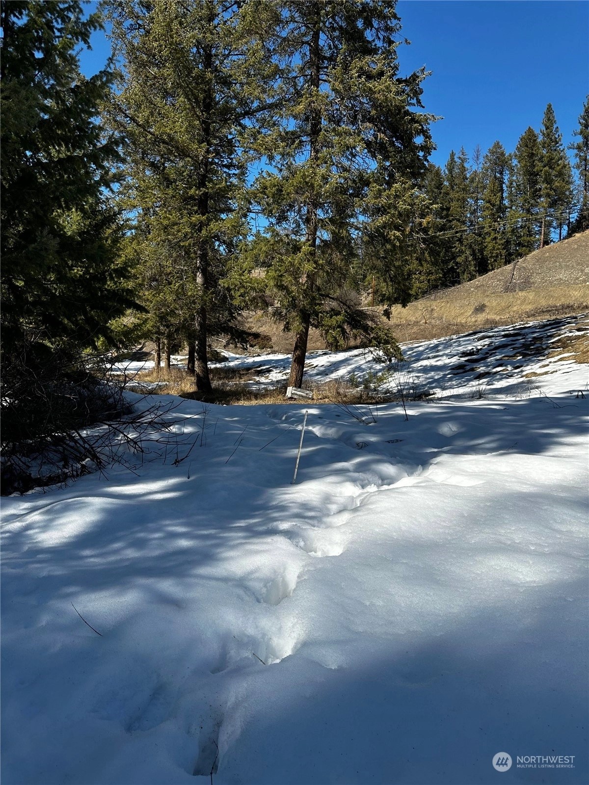 Curlew Land For Sale in Curlew WA