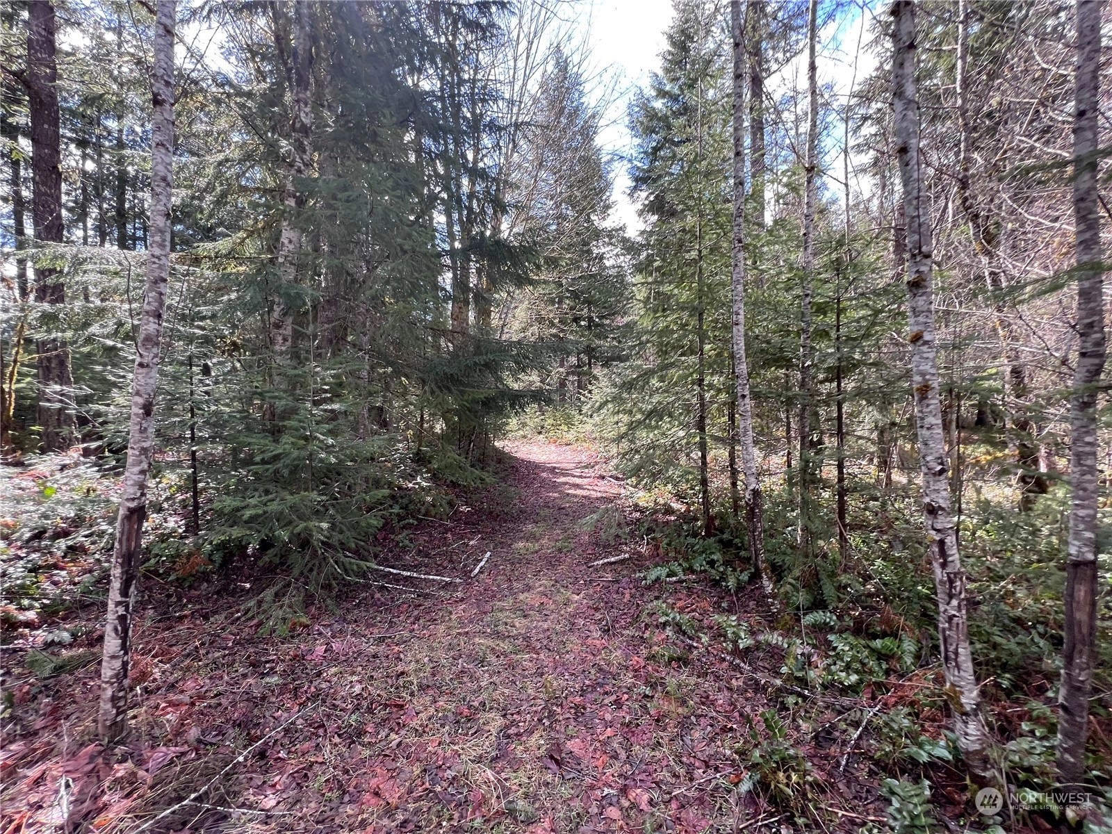 White Pass Land For Sale in White Pass WA