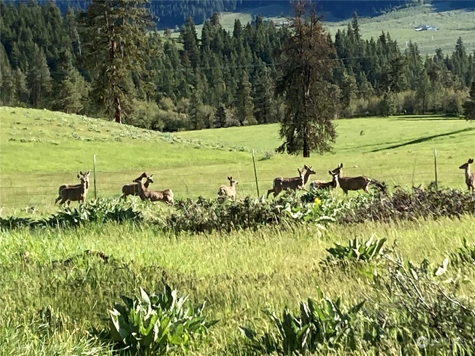 Dryden, WA Homes For Sale & Real Estate Wicklund