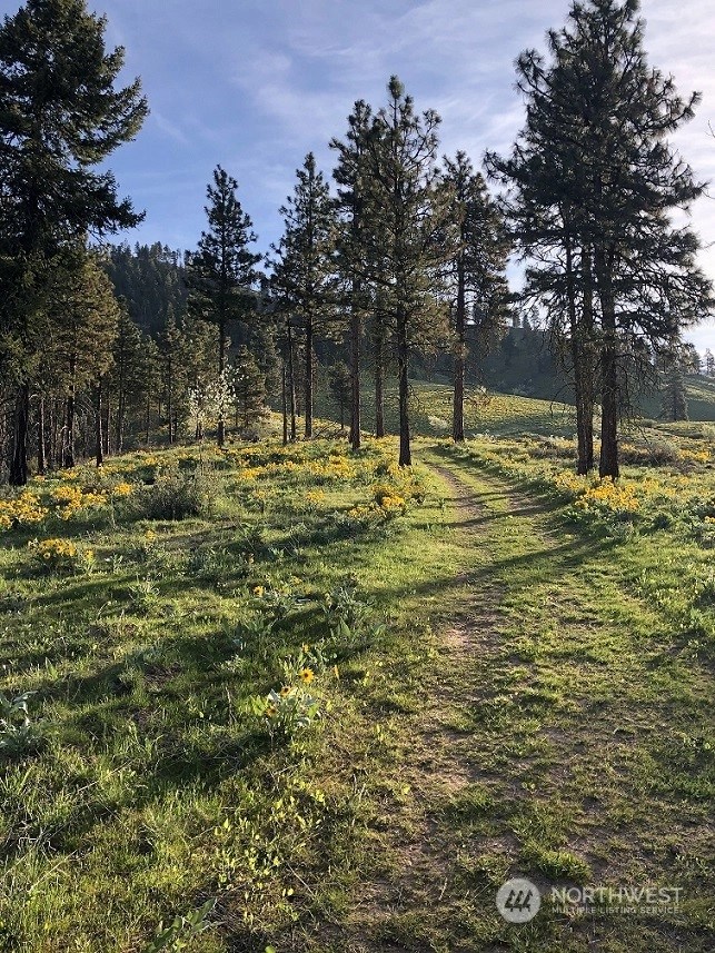 Dryden, WA Homes For Sale & Real Estate Wicklund