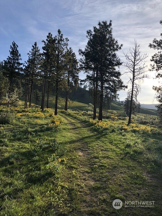 Dryden, WA Homes For Sale & Real Estate Wicklund