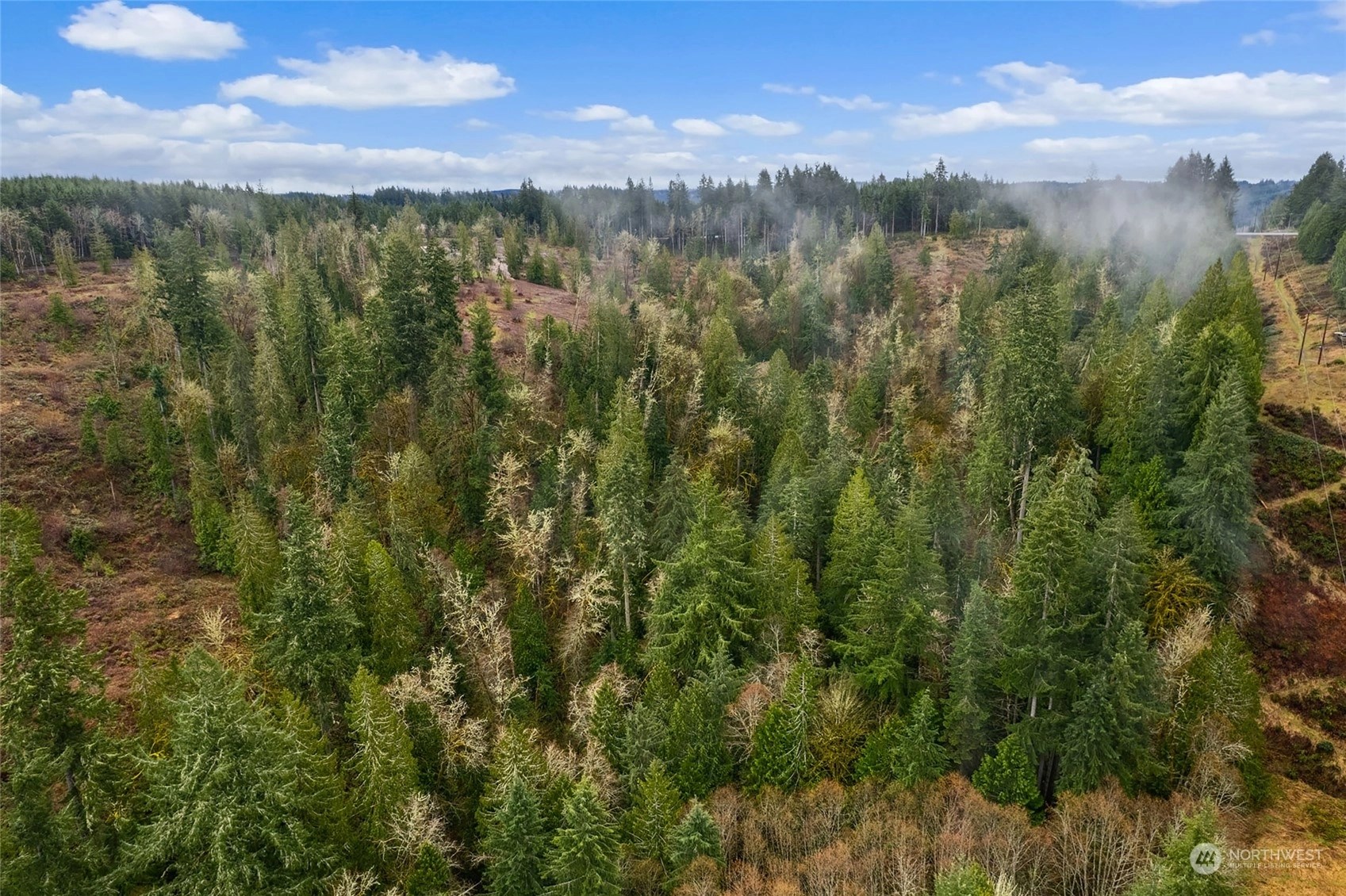 Centralia Land For Sale in Centralia WA