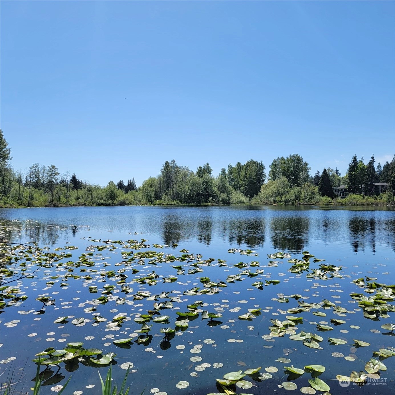 Lake Kirkland Park Condos For Sale at Lake Kirkland Park in Kirkland