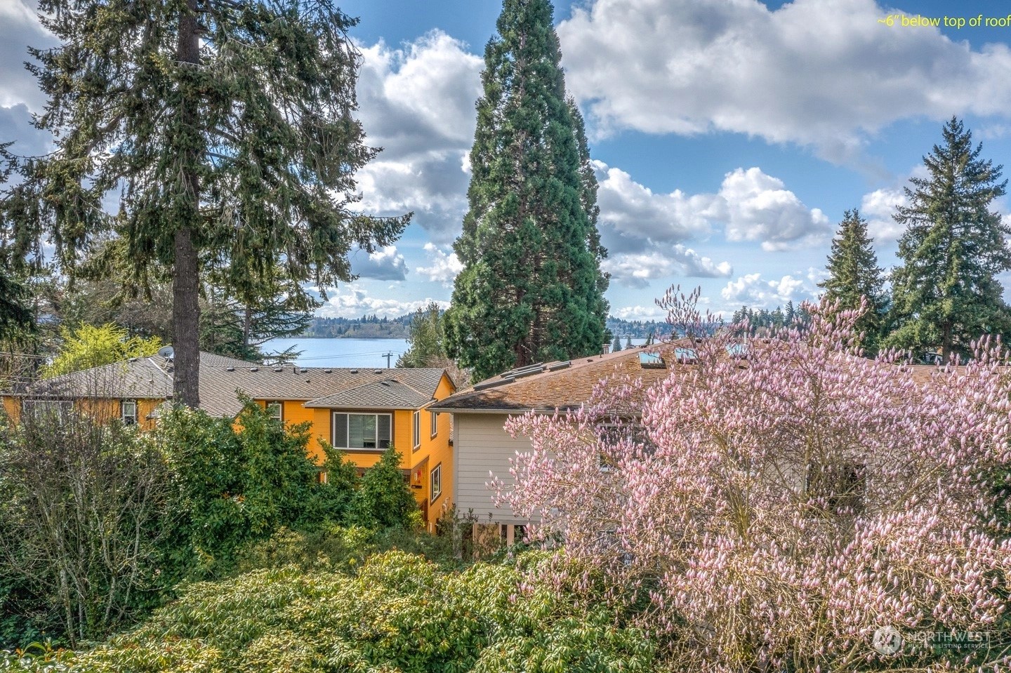 Thomas James Homes Washington State Seattle,Medina,Bellevue Wicklund