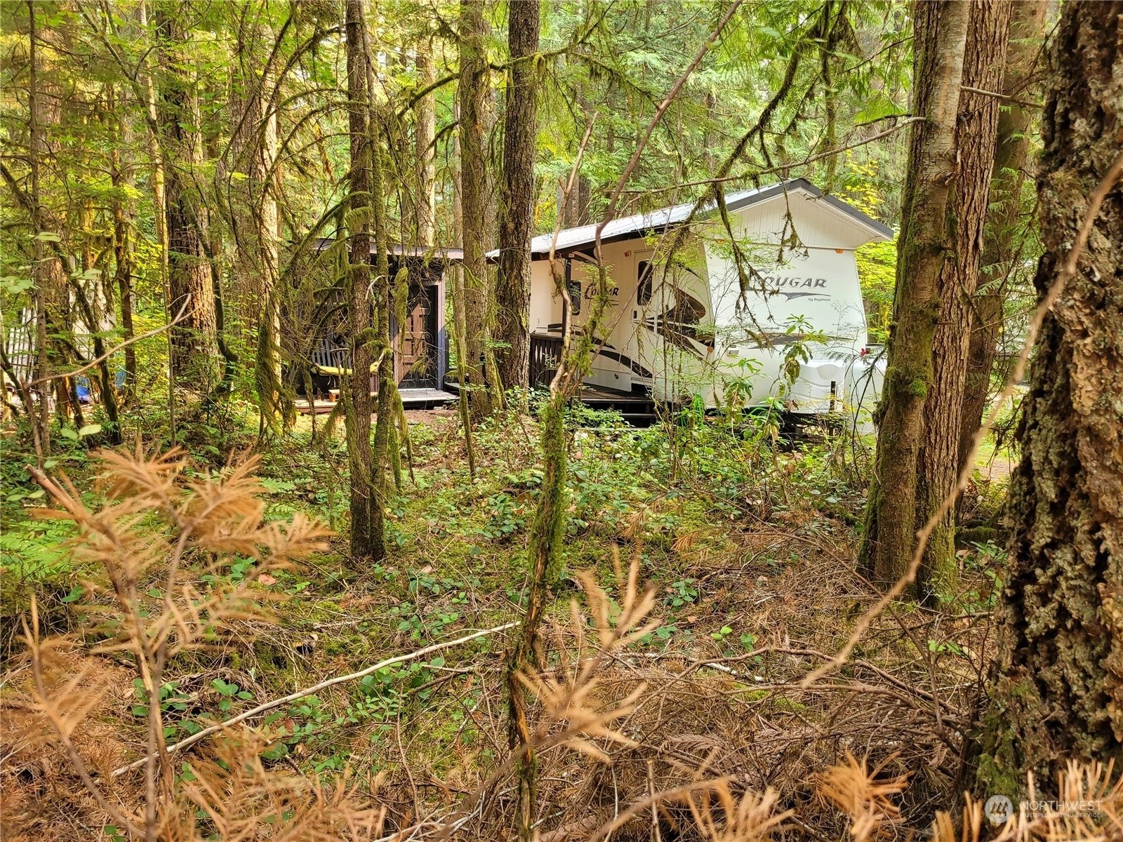 Glen at Maple Falls Homes For Sale in Glen at Maple Falls, Maple