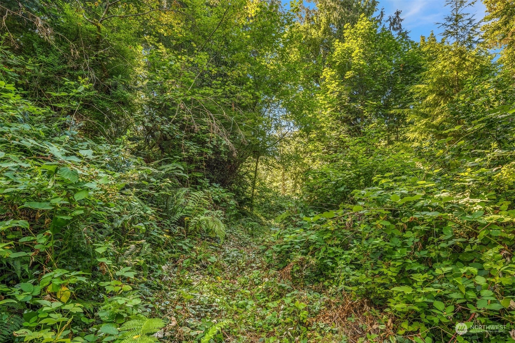 Monroe Land For Sale in Monroe WA Wicklund