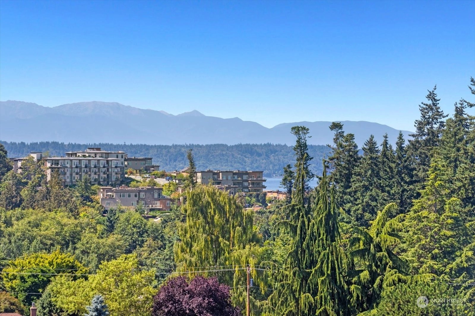 The Executive Condos For Sale at The Executive in Edmonds, WA Wicklund