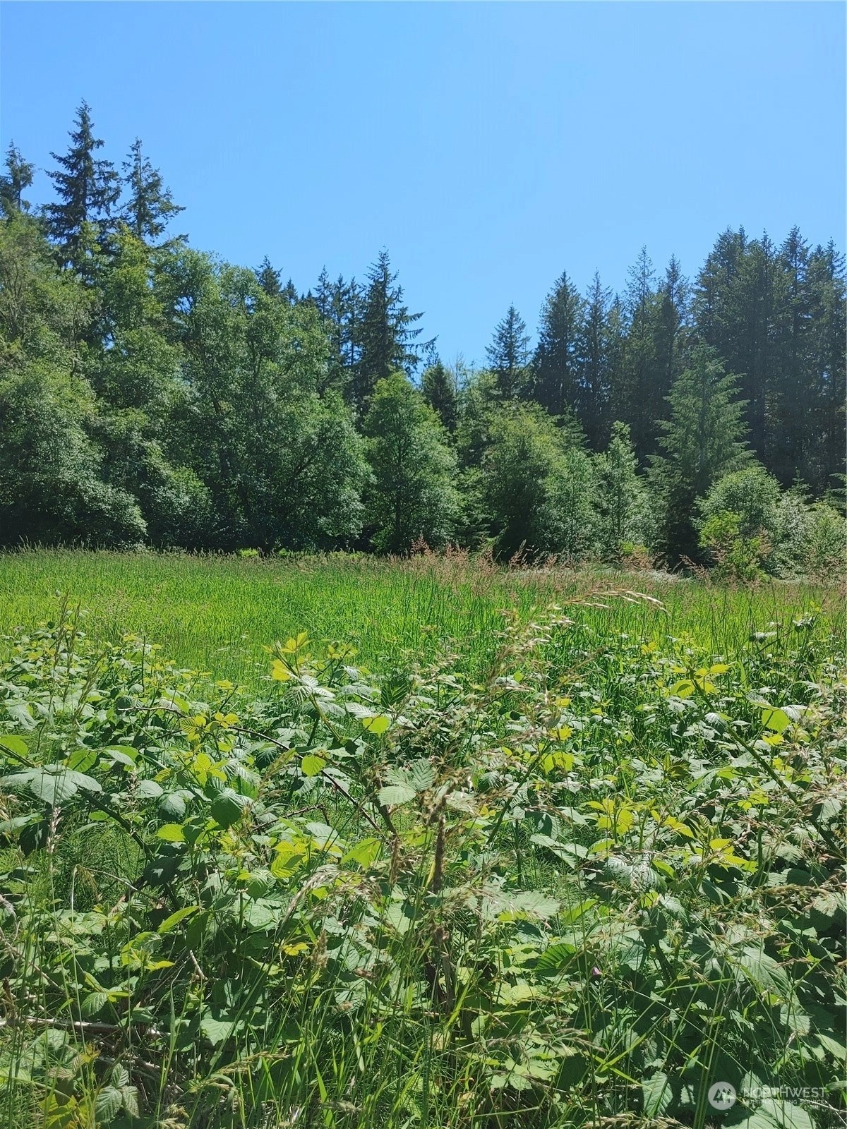 Concrete Land For Sale in Concrete WA Wicklund