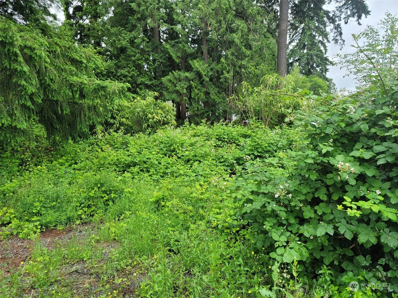 Bellevue Land For Sale in Bellevue WA Wicklund