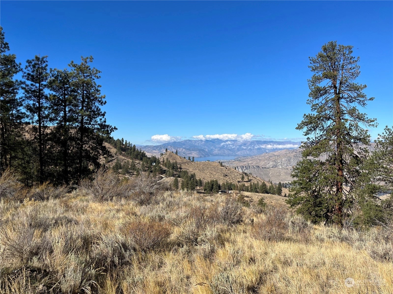 Orondo Land For Sale in Orondo WA Wicklund