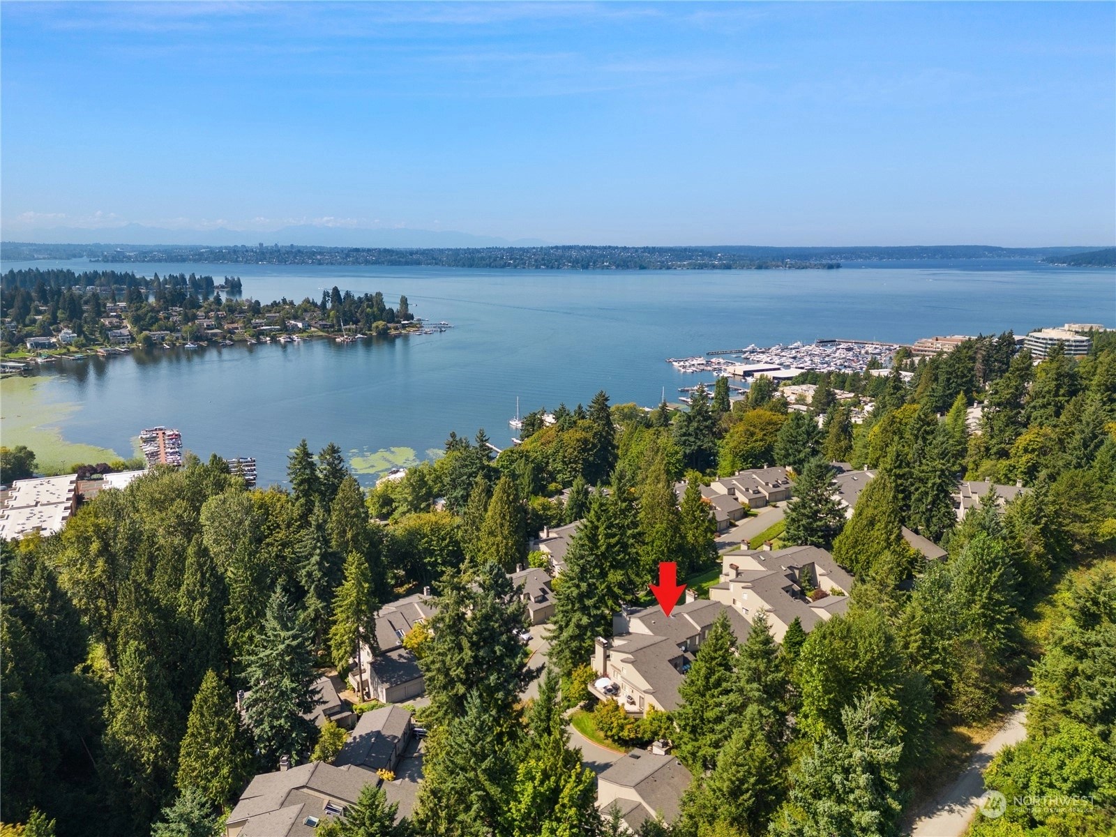 Kirkland, WA Homes For Sale & Real Estate Wicklund