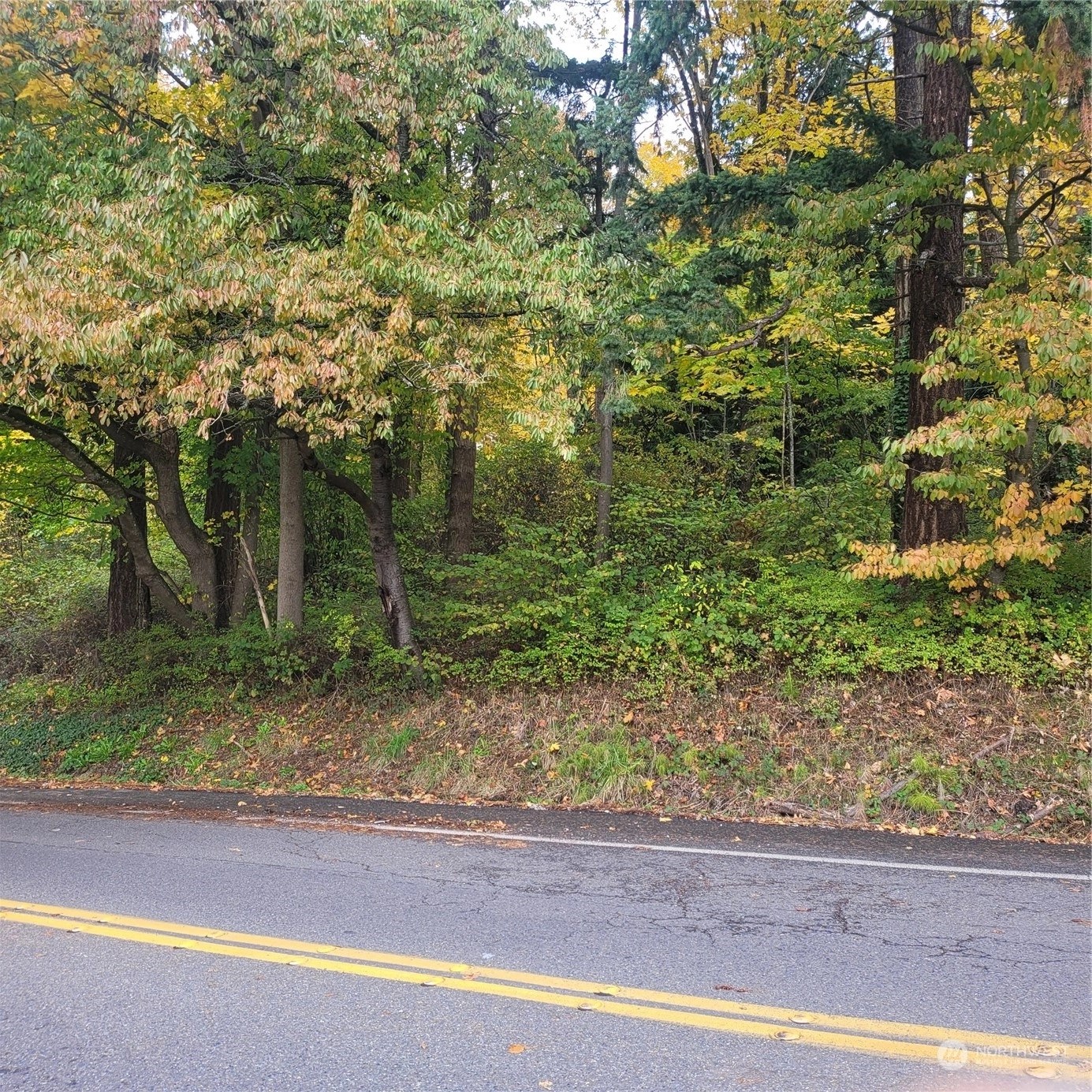 Renton Land For Sale in Renton WA Wicklund