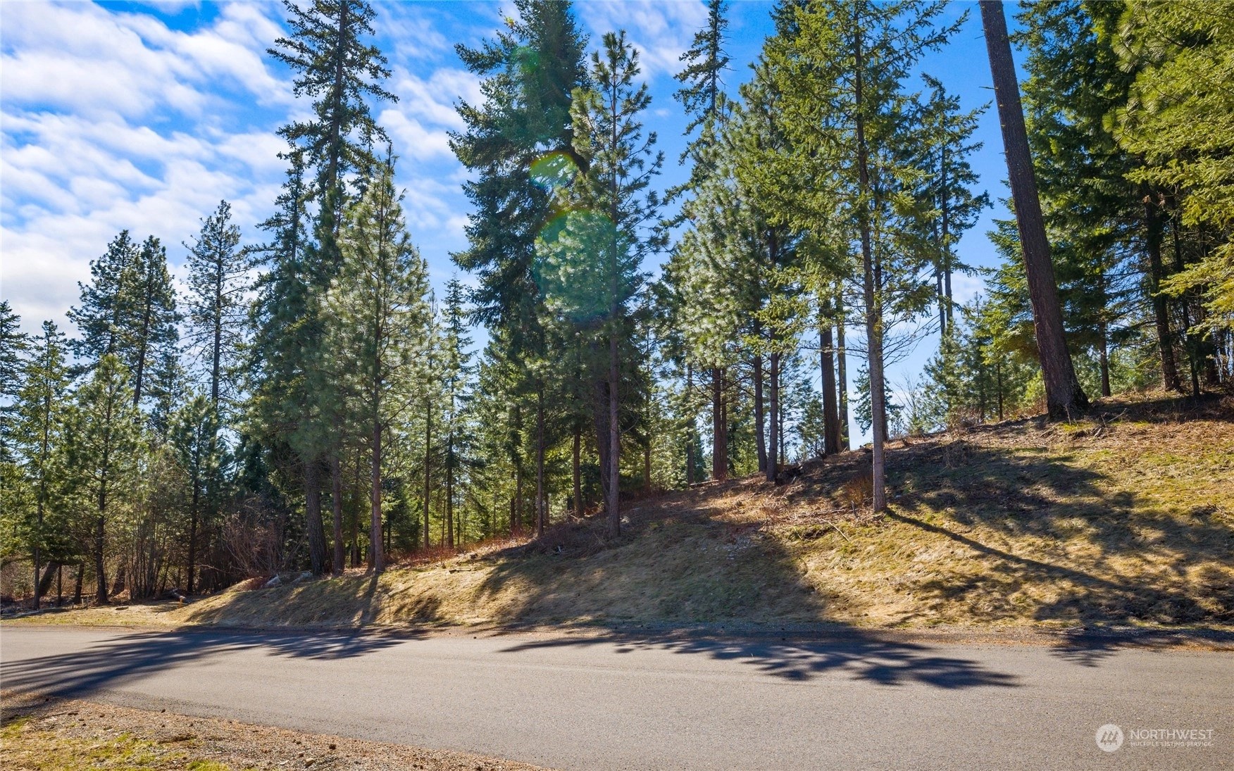 Nelson Ridge at Suncadia Homes For Sale in Nelson Ridge at Suncadia