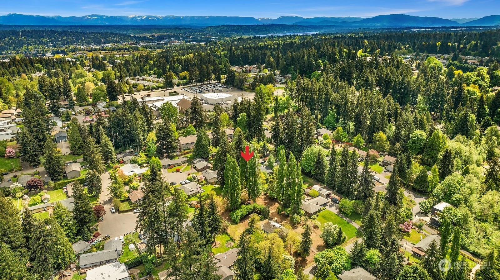 Rose Hill Homes For Sale in Rose Hill, Kirkland, WA Wicklund