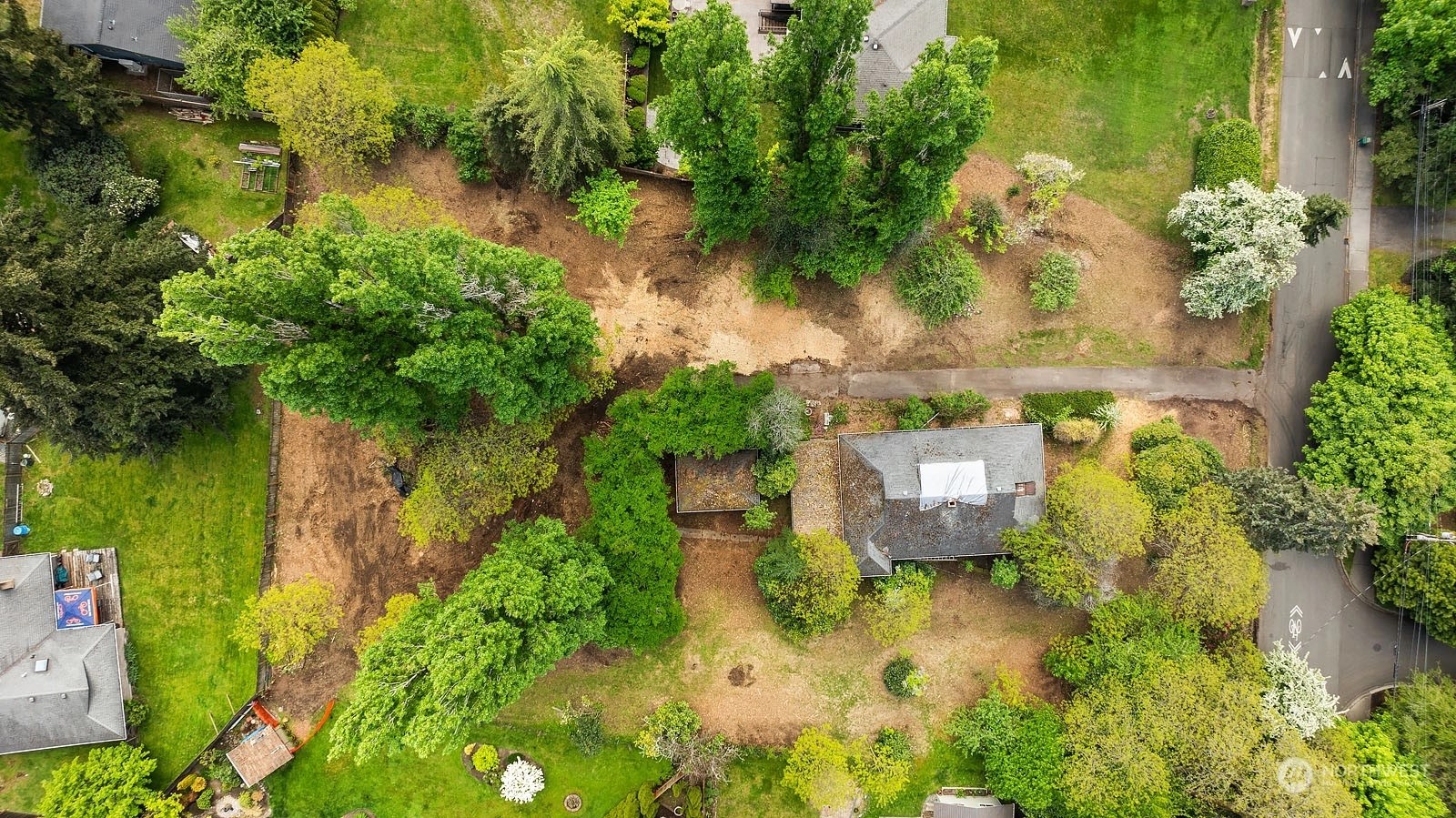 Rose Hill Homes For Sale in Rose Hill, Kirkland, WA Wicklund