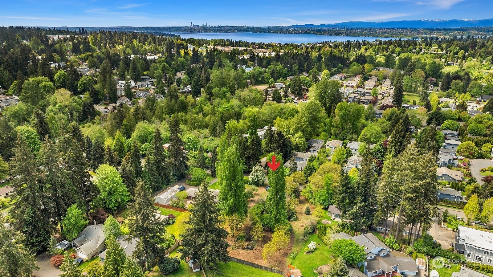 Rose Hill Homes For Sale in Rose Hill, Kirkland, WA Wicklund