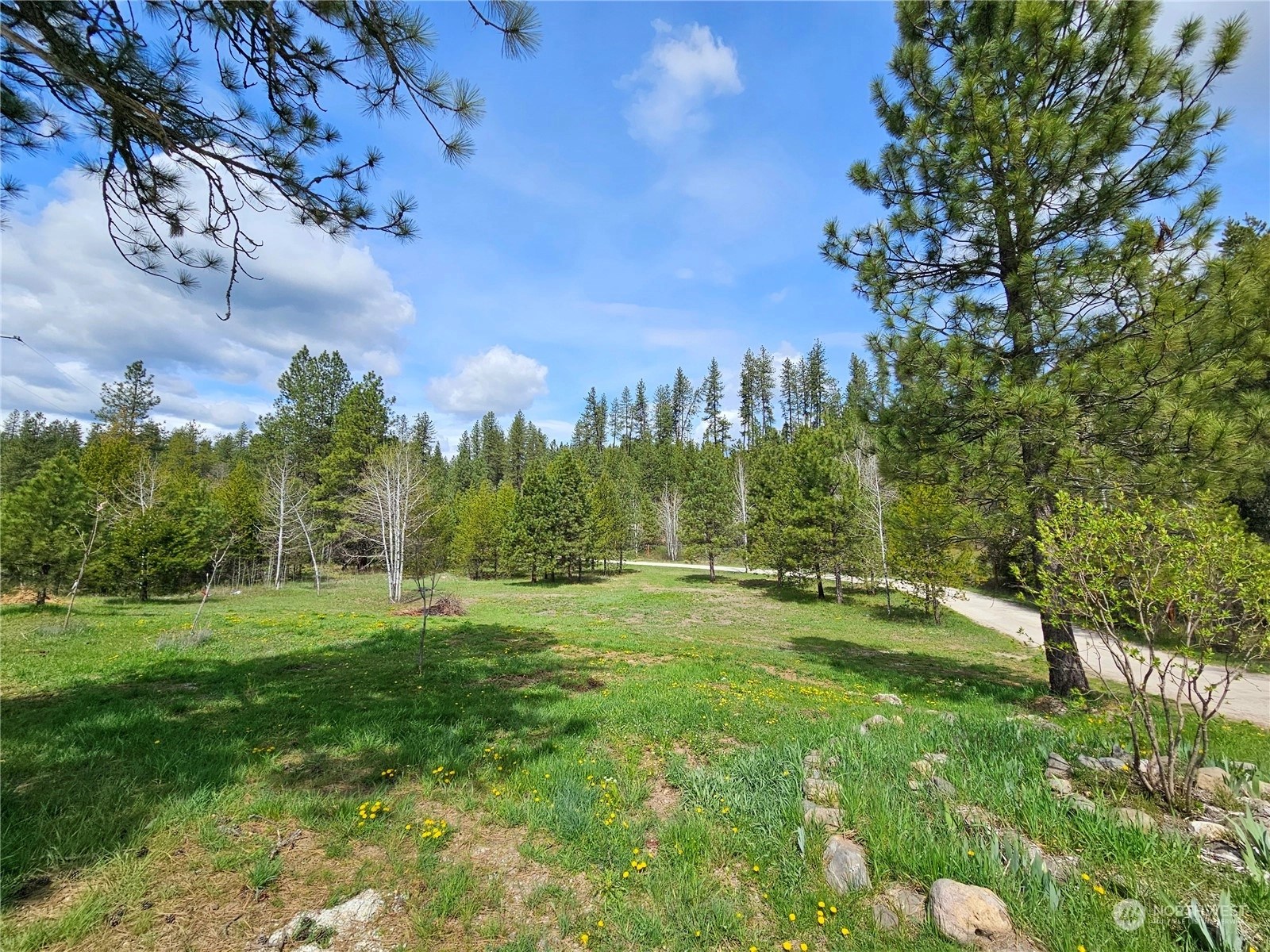 Springdale, WA Homes For Sale & Real Estate Wicklund