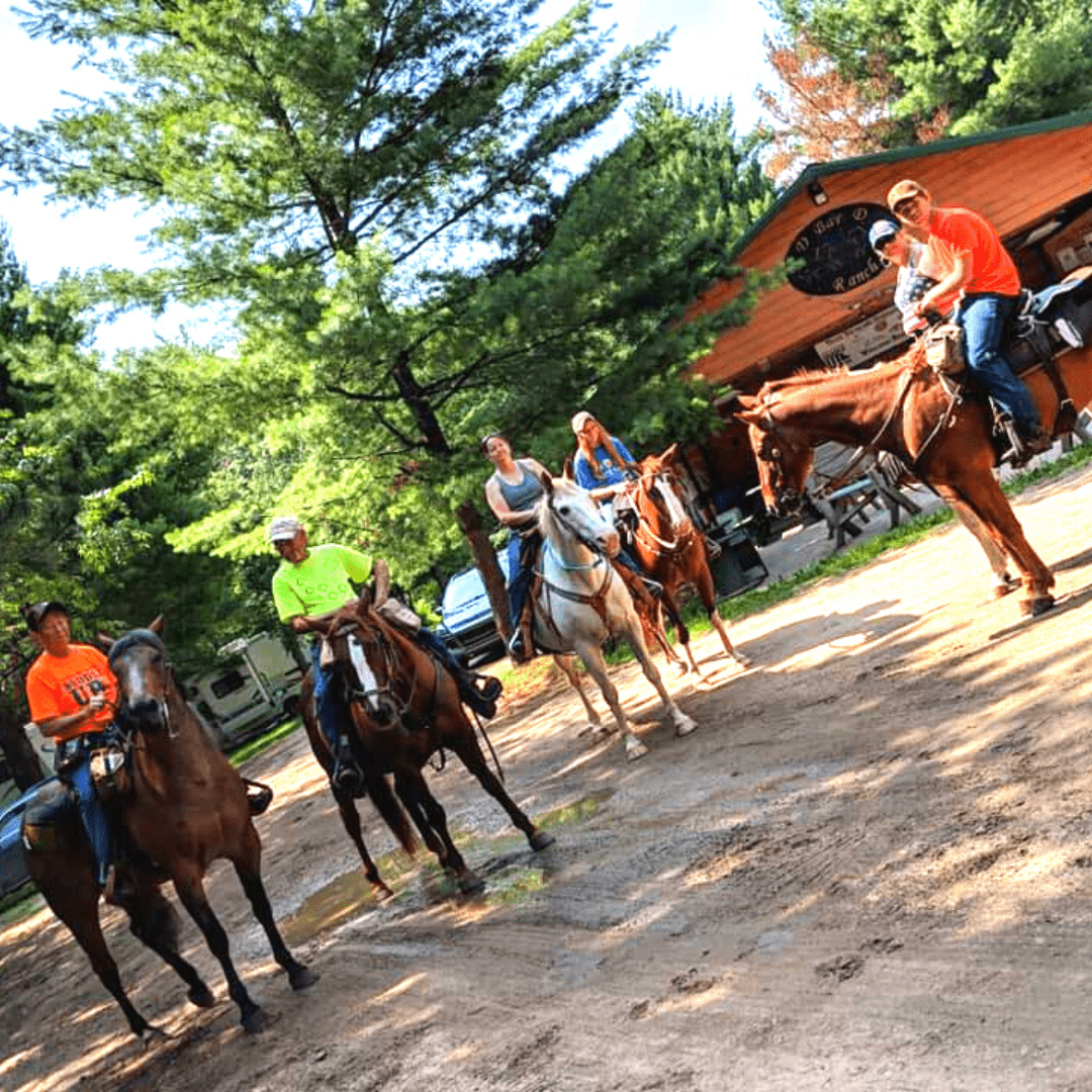 D Bar D Ranch Michigan Campground