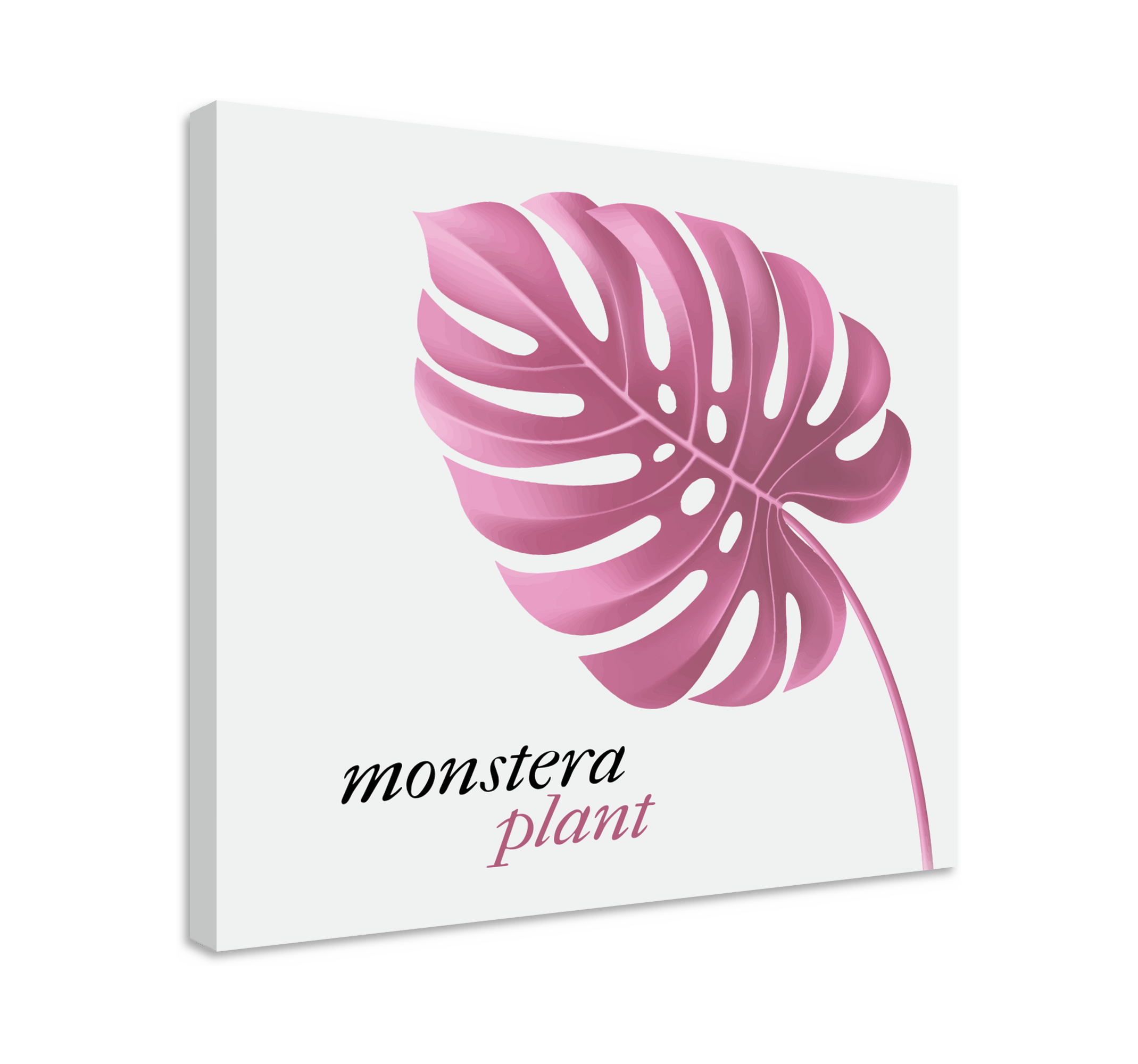 Pink minimalist monstera style wall art quote prints TenStickers