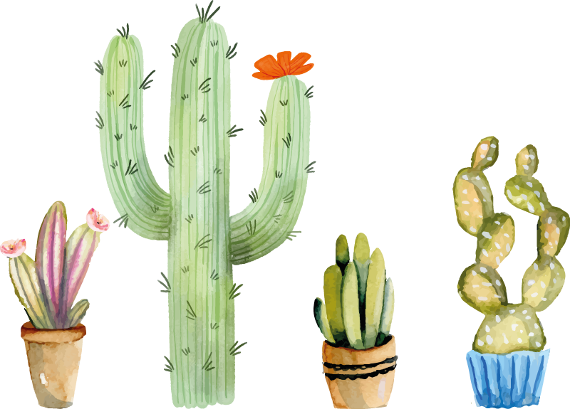 Set variety of cactus plant decals TenStickers